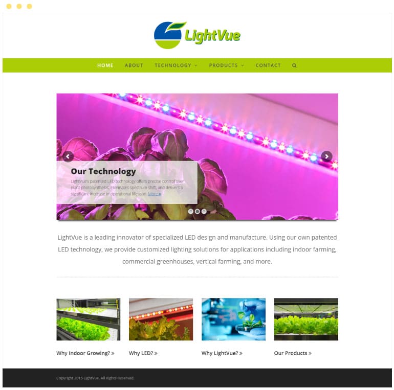 LightVue Website #1